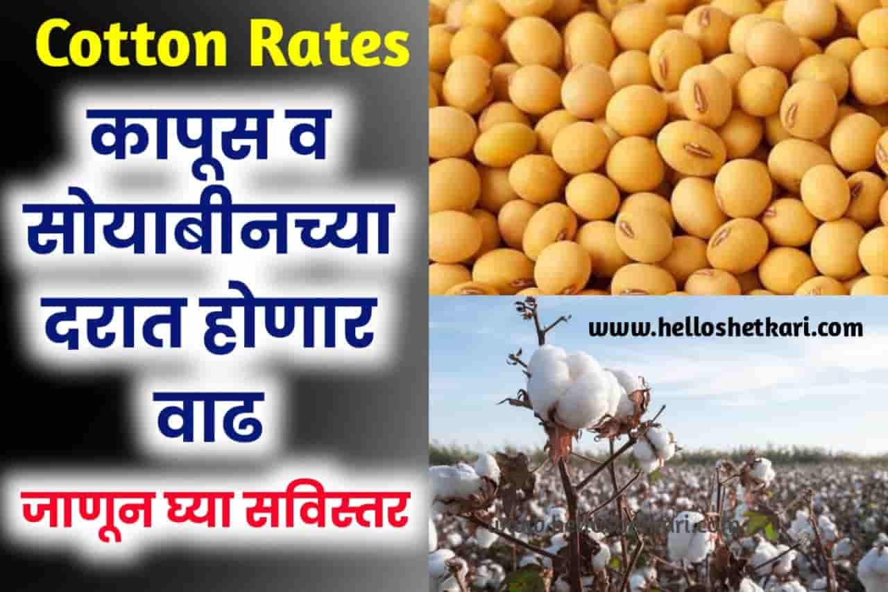 Cotton Rates