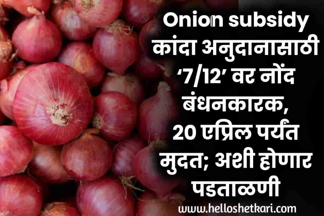 Onion subsidy