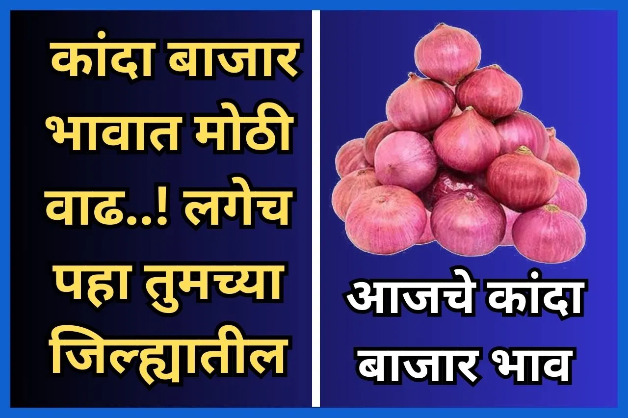 Onion Price 29 October